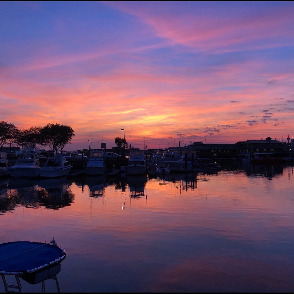 Meet your Posher, Kelsie